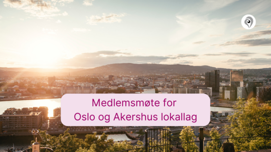 illustrasjonsbilde fra oslo